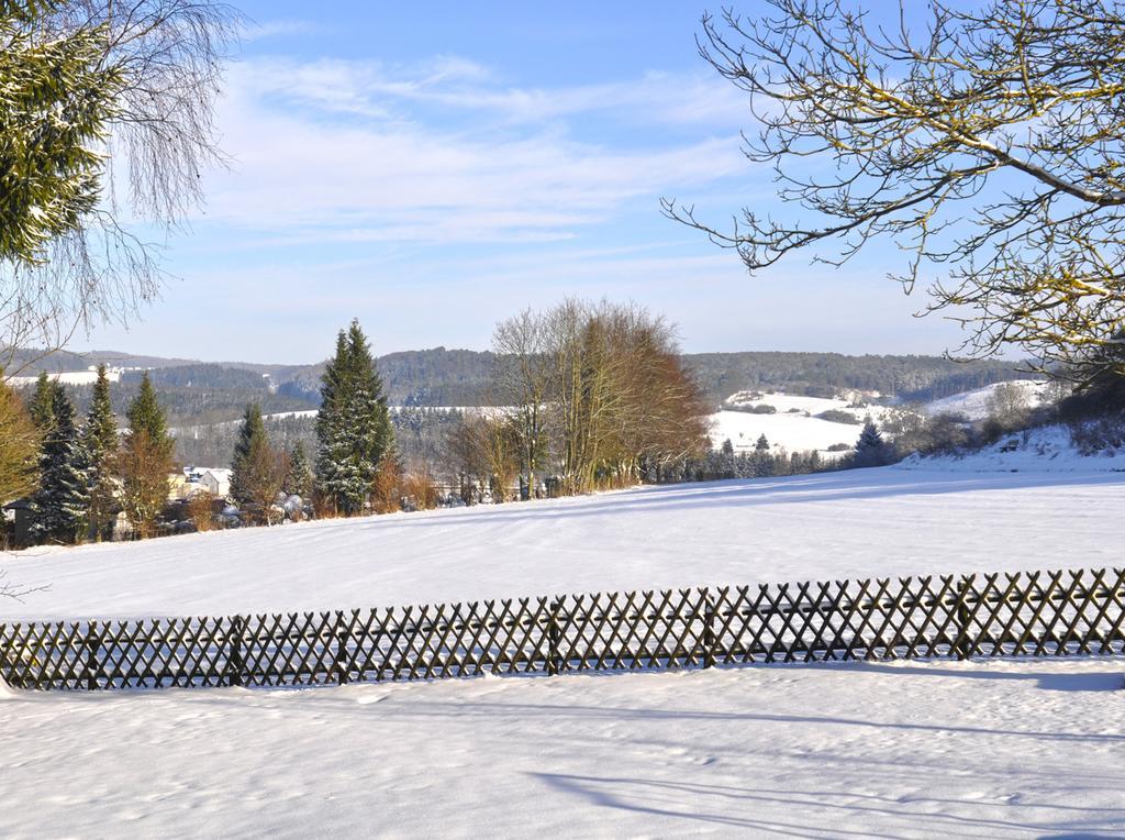 Haus Hippelstein Villa Gönnersdorf Esterno foto